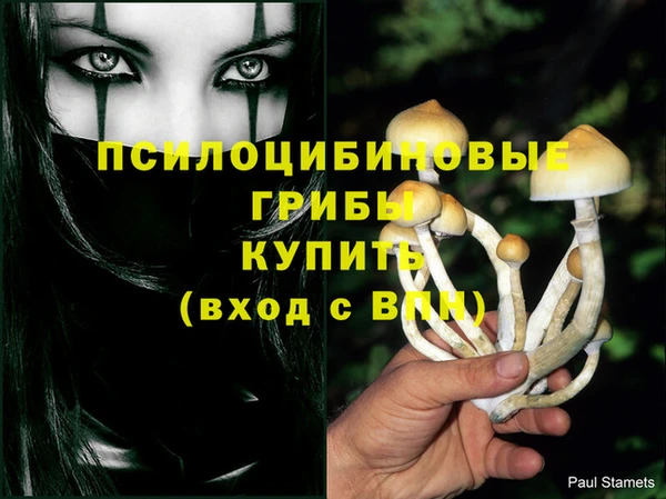 экстази Армянск