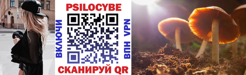 Псилоцибиновые грибы мицелий  Петропавловск-Камчатский 