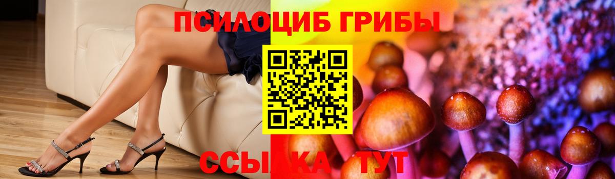 Петропавловск-Камчатский  Галлюциногенные грибы ЛСД  Вход с VPN  цены   Псилоцибиновые грибы мухоморы 
